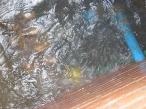 Faulty fitting causes water leak